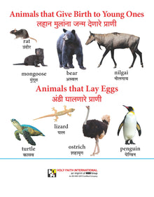 LET'S KNOW -ANIMALS (MARATHI)