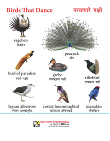 LET'S KNOW -BIRDS (MARATHI)