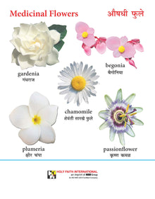 LET'S KNOW-FLOWERS (MARATHI)