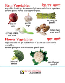 LET'S KNOW -VEGETABLES (MARATHI)