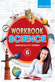 Holy Faith Science Workbook-6